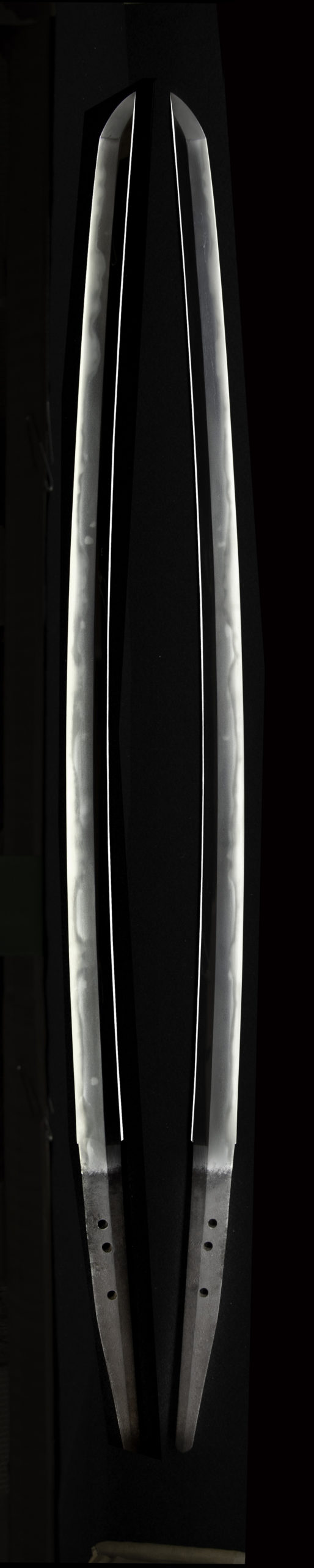 千子村正の特徴である表と裏の刃文が揃い茎がタナゴ腹茎である。 This is the characteristic of Muramasa. The front and back swords are the same. The stem is a unique tanago abdominal stem.